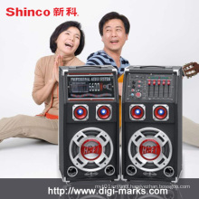Elegent High Quality Professional Speaker for Home Party